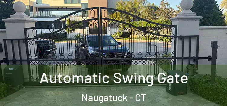  Automatic Swing Gate Naugatuck - CT