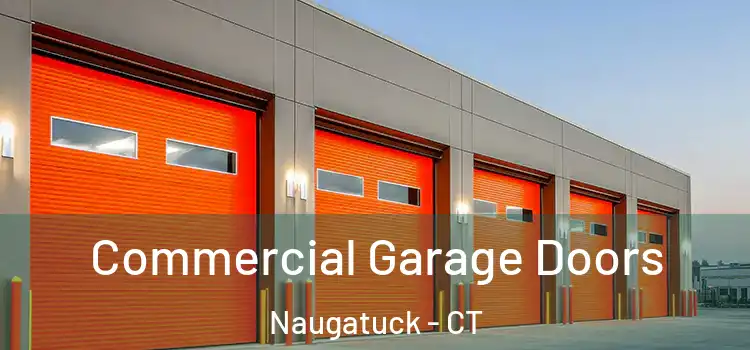  Commercial Garage Doors Naugatuck - CT