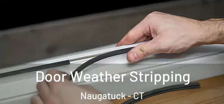  Door Weather Stripping Naugatuck - CT