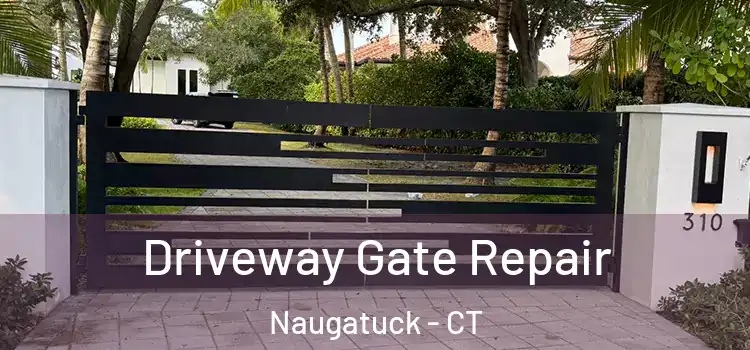  Driveway Gate Repair Naugatuck - CT