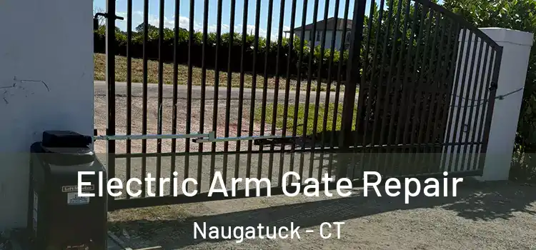 Electric Arm Gate Repair Naugatuck - CT