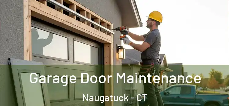 Garage Door Maintenance Naugatuck - CT