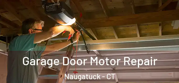  Garage Door Motor Repair Naugatuck - CT