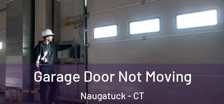  Garage Door Not Moving Naugatuck - CT