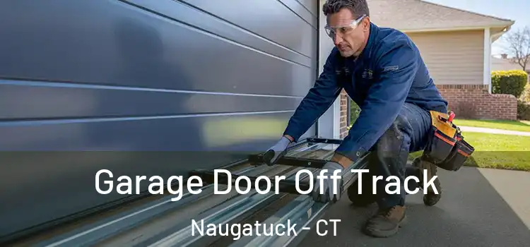  Garage Door Off Track Naugatuck - CT