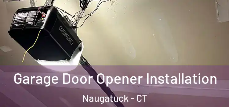  Garage Door Opener Installation Naugatuck - CT