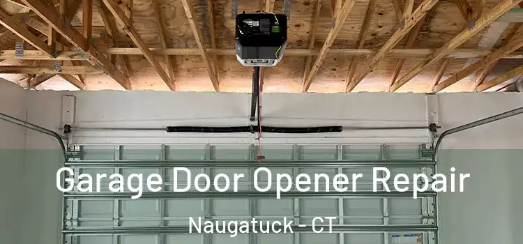  Garage Door Opener Repair Naugatuck - CT