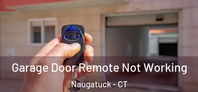  Garage Door Remote Not Working Naugatuck - CT