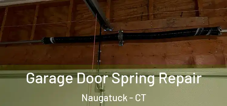  Garage Door Spring Repair Naugatuck - CT
