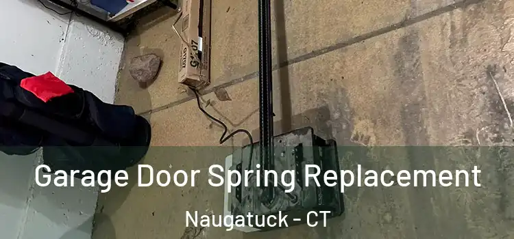  Garage Door Spring Replacement Naugatuck - CT