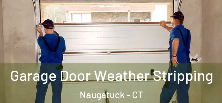  Garage Door Weather Stripping Naugatuck - CT