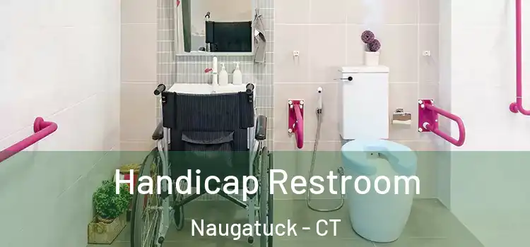  Handicap Restroom Naugatuck - CT