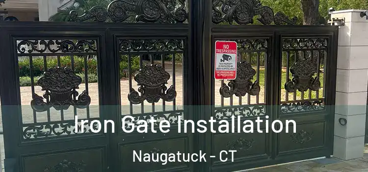 Iron Gate Installation Naugatuck - CT