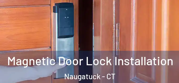  Magnetic Door Lock Installation Naugatuck - CT