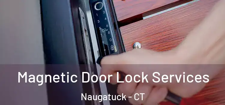  Magnetic Door Lock Services Naugatuck - CT