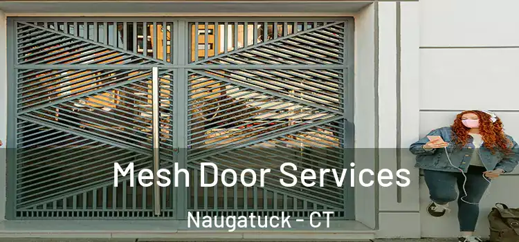 Mesh Door Services Naugatuck - CT