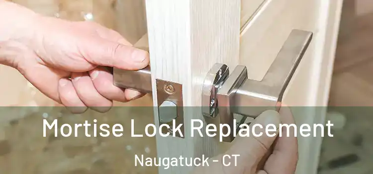 Mortise Lock Replacement Naugatuck - CT