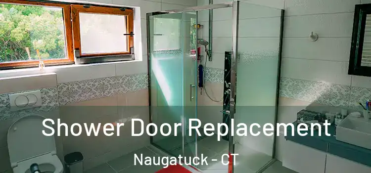 Shower Door Replacement Naugatuck - CT