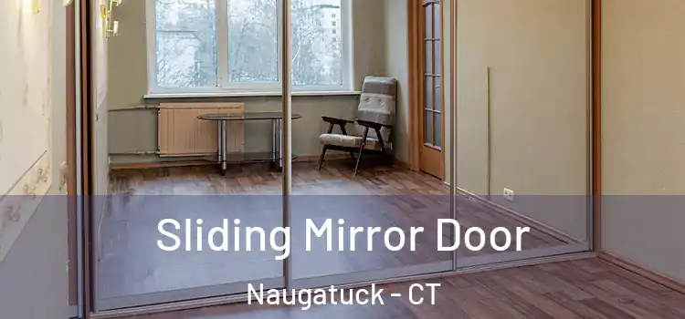  Sliding Mirror Door Naugatuck - CT